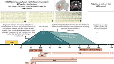 Connections Between Febrile Infection-Related Epilepsy Syndrome and Autoimmune Encephalitis. A Case Report of a Child With New Anti-neuronal Antibodies